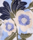 Color variant